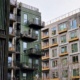 UN17 lunden og noli 80x80 - UN17 - Ørestad